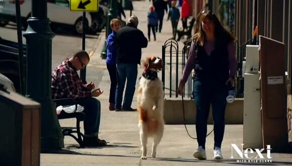 El perro que aprendió a andar como un humano tras sufrir un atropello. (Foto: Next 9NEWS / YouTube)