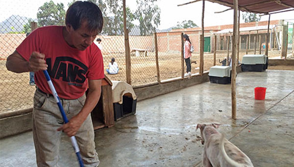 Para mantener la salud de los animales y de quienes los visitan, el muy importante limpiar los pisos a diario y fumigar cada cierto tiempo el albergue.