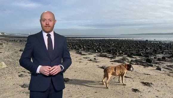 Barra Best, el hombre del tiempo de BBC Irlanda del Norte, con la imagen de su perra. (Foto: Captura BBC)