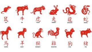 Horóscopo Chino 2021: distribución de los animales del zodiaco según año de nacimiento