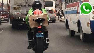 Vía WhatsApp: ¿es más seguro llevar así a tu perro en moto?
