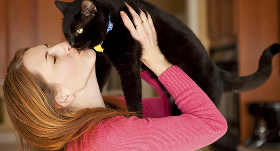 Besar a tu gato podría causarte la muerte. (Foto: IStock)