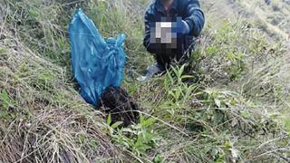Huancavelica: hallan restos óseos en descampado que serían de menor desaparecida