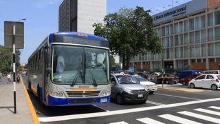 Corredor azul: aumentarán 18 buses desde noviembre