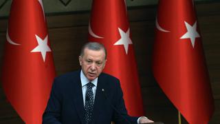 Erdogan no suelta las riendas de Turquía