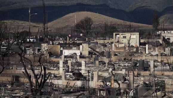 Árboles quemados y las ruinas de las casas son lo que queda después de que el incendio de Lahaina arrasara la ciudad, en Lahaina, Hawái, EE. UU., el 13 de agosto de 2023. (Foto de EFE/EPA/ETIENNE LAURENT)