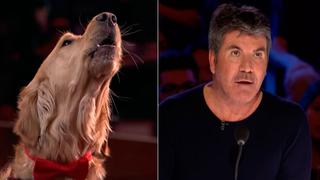 YouTube: Perro que canta sorprendió a Simon Cowell y a la audiencia de ‘America’s Got Talent’