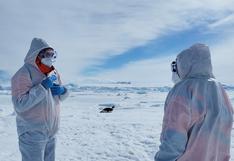 Expedición científica a la Antártida reporta casos positivos de gripe aviar en aves marinas