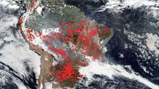 Incendios en la Amazonía | La inmensa riqueza ecológica amenazada por el fuego