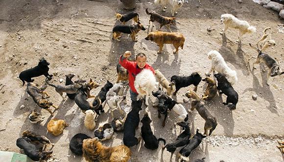 Este señor no dudó ni un segundo en gasta su dinero para cuidar a muchos perros que estaban a punto de morir en el matadero. | Chinanews