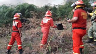 Cusco: incendio forestal en distrito de Pichari fue extinguido