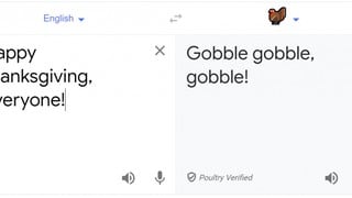 Google ofrece traducir del inglés al “idioma pavo” por el Día de Acción de Gracias 