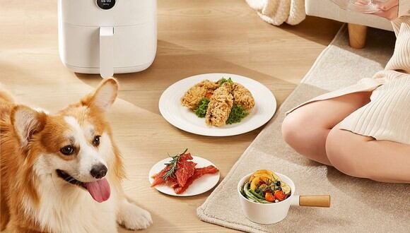 Con estas opciones disfrutarás con tu mascota de la nueva forma segura y sin complicaciones de cocinar. (Foto: Xiaomi)