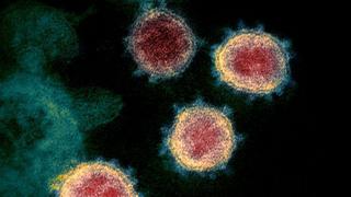 COVID-19 | Seis respuestas sobre la nueva variante del virus