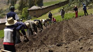 Sector agropecuario creció en primer bimestre del año pese a lluvias e inundaciones, señala Midagri