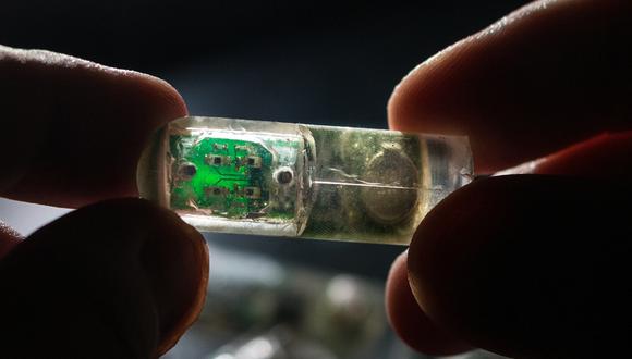 El sensor ya fue probado en cerdos y ahora le tocará a los humanos. (Foto: MIT)