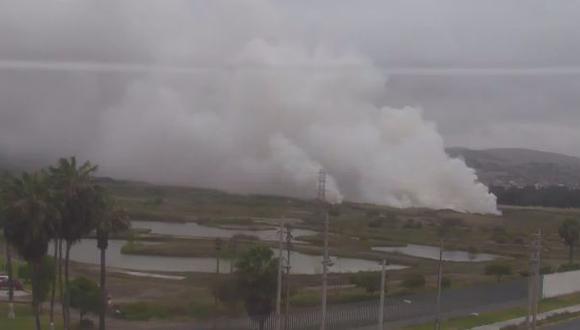 Chimbote: incendio consume áreas verdes de Vivero Forestal