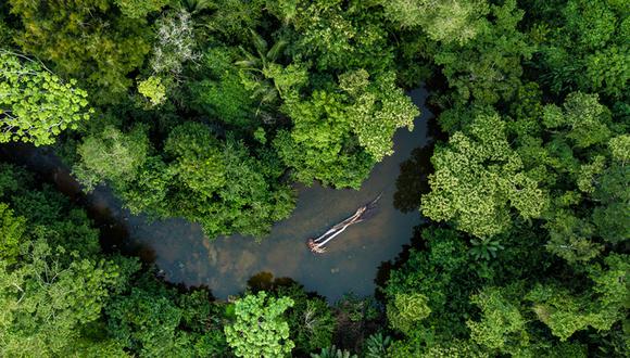 La Alianza Empresarial por la Amazonía (AEA) espera que al cierre del año 2023 pueda ampliarse estas iniciativas a por lo menos 10 proyectos adicionales.