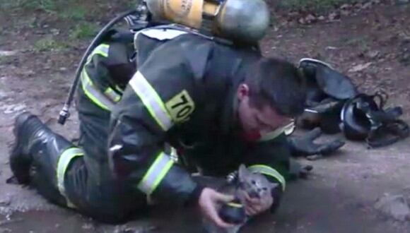 Bombero héroe rescató a un moribundo gato intoxicado por inhalar grandes cantidades de humo durante un incendio en Rusia. (Foto: captura Youtube)