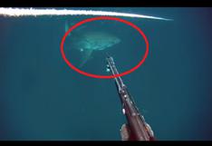 YouTube: Buzo graba escalofriante encuentro con tiburón blanco