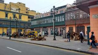 “La larga historia de los árboles del centro”, Angus Laurie