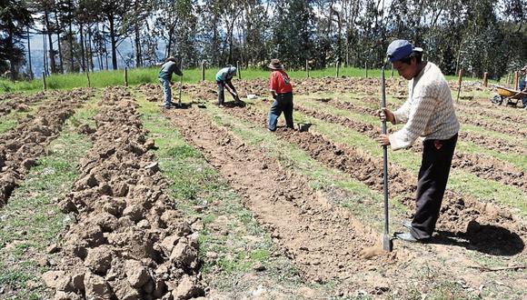 El Midagri indicó que esperan atender a 116 organizaciones de productores, ubicados en 45 distritos de 16 provincias de las regiones mencionadas. (Foto: Andina)