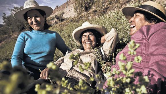 El Comercio con el auspicio del BCP ha iniciado la campaña “Peruanos que suman”. (GEC)