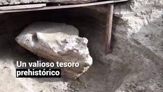 Cusco: conoce el valioso tesoro de fósiles que yacen en la provincia de Espinar