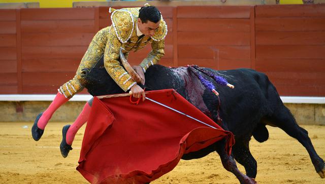 El torero Paco Ureña no pudo terminar su faena tras recibir una gran cornada. (Foto: EFE)