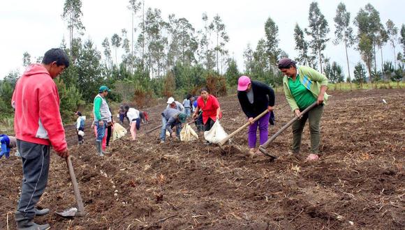 Pequeños productores de agricultura familiar que posean hasta cinco hectáreas serán principales beneficiados. (Foto: GEC)