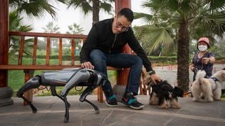 CyberDog, el perro robot que se paseó por Lima sin correa ni bozal