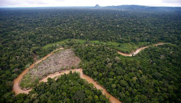 El Amazonas es el bosque h&uacute;medo m&aacute;s extenso del mundo. (Foto: El Comercio / Dante Piaggio).