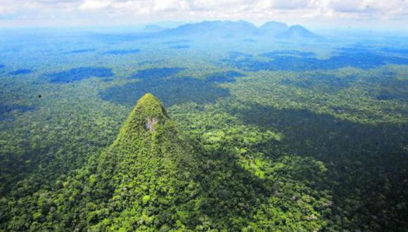 Dinero garantizará la protección de 38 reservas naturales de la Amazonía.