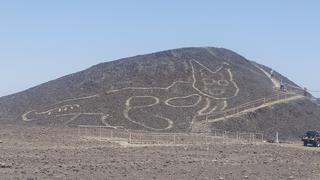 Felino hallado en Nasca: la historia detrás del descubrimiento que el mundo comenta