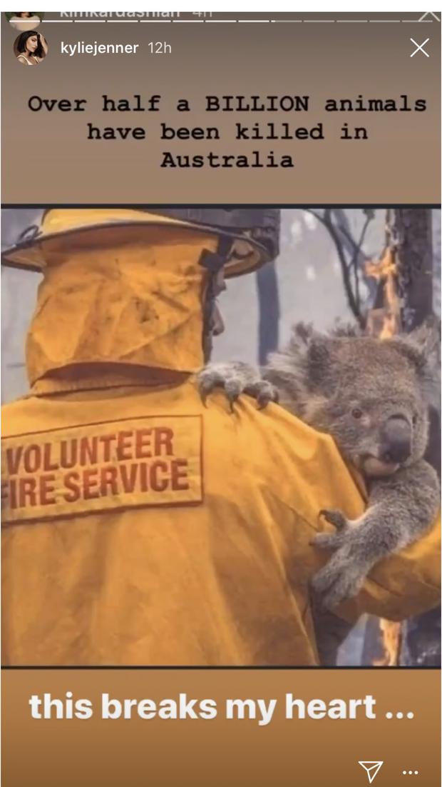 Kylie Jenner: ¿por qué sus fans en Instagram no creen en sus lágrimas por  los koalas australianos?, Incendios en Australia, Louis Vuitton, RESPUESTAS