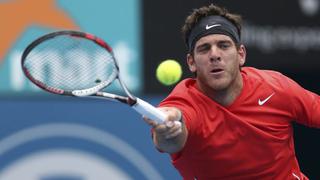 Del Potro asegura su primera final del año en Sidney