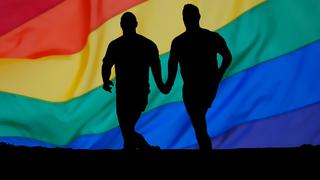 El ‘gen gay’ no existe | "No se deben desarrollar curas para la homosexualidad"