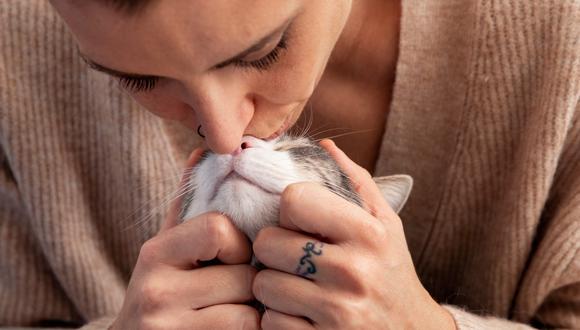 Aunque los gatos son conocidos por ser criaturas independientes y disfrutar del tiempo a solas, también les encanta sentir el cariño y amor de sus dueños. Llena a tu felino de cumplidos, caricias y apapachos cada vez que él se acerque a ti. No hay mascota más feliz que la que se siente querida.
(Foto: Freepik)