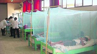 Piura ya registra cuatro muertes por dengue