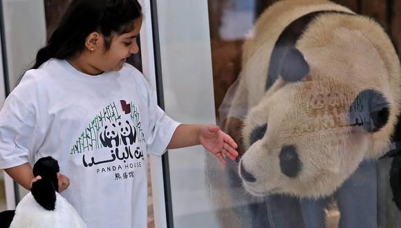 Una niña juega con un panda gigante chino detrás del vidrio protector en el Panda Park en Al Khor el 19 de octubre de 2022. (Foto: DENOUR / AFP)