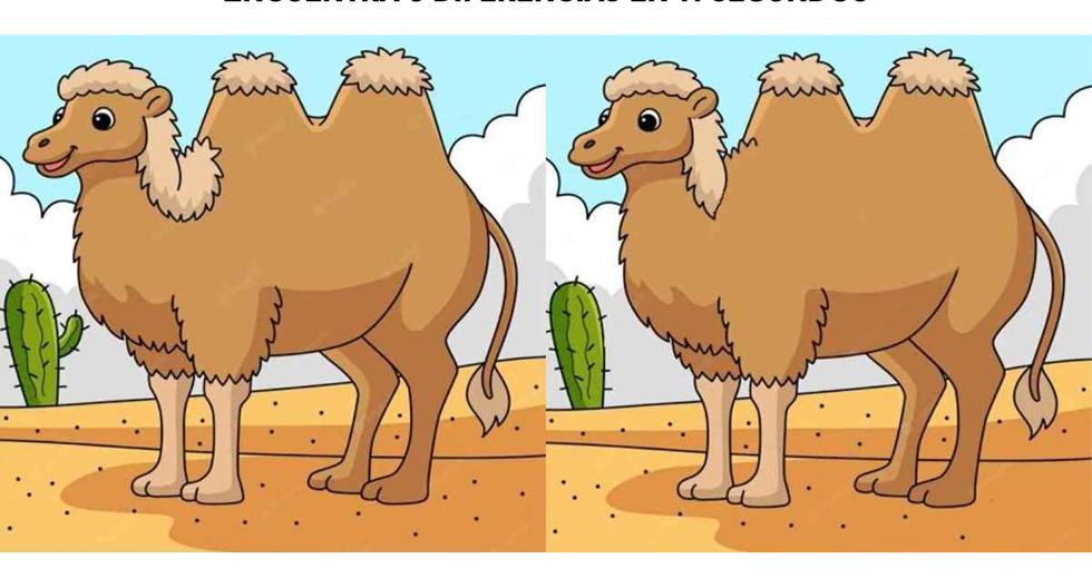 Visual Challenge |  Find 3 differences in pictures of camels in the desert in 11 seconds |  Viral