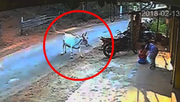 El repentino ataque de una vaca contra un niño que jugaba en la calle. (Foto: YouTube)