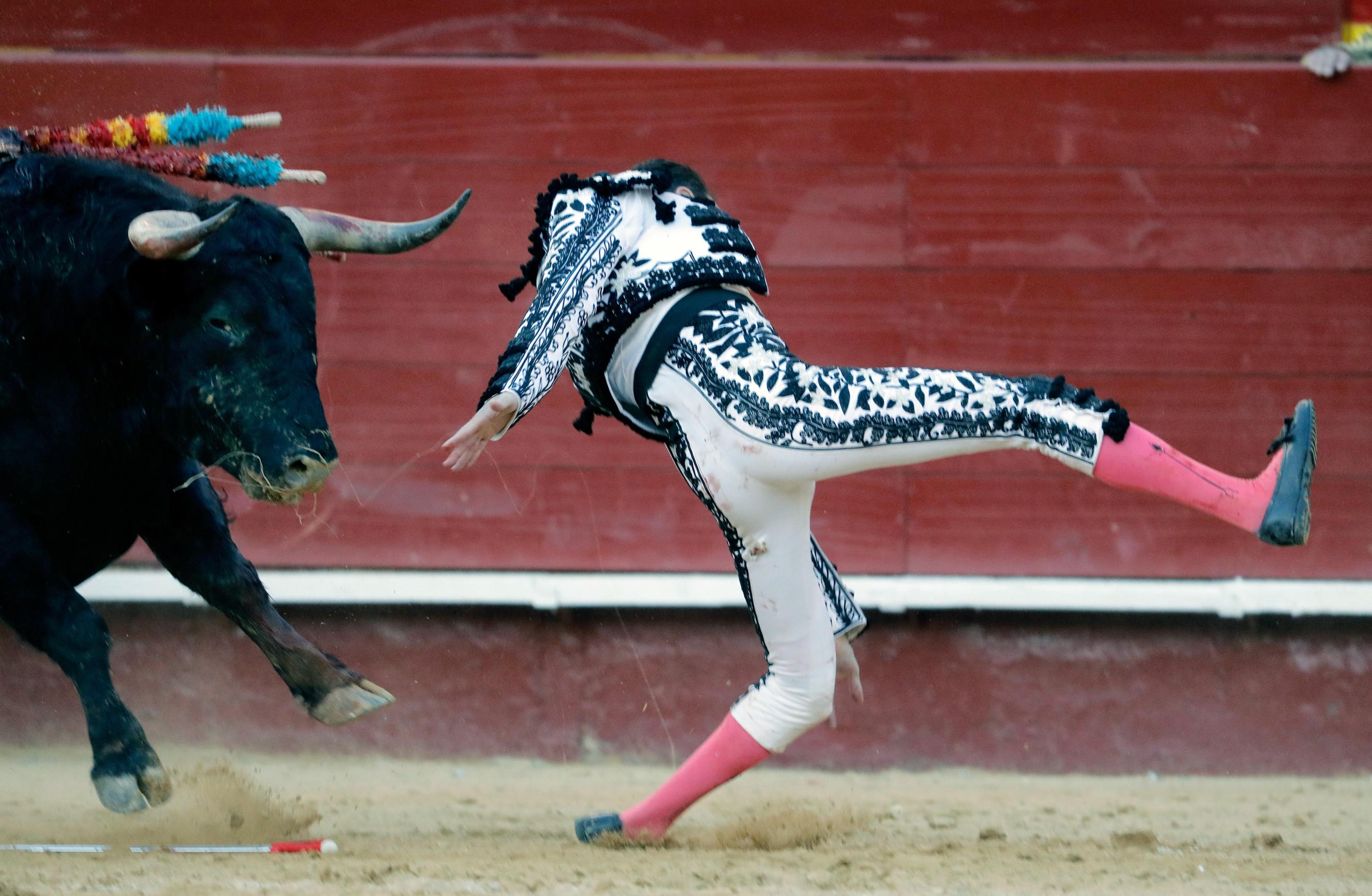 La impresionante cornada que hirió al torero Enrique Ponce en España. Foto: EFE