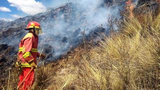 Preocupa aumento de incendios forestales y ausencia de plan para enfrentarlos