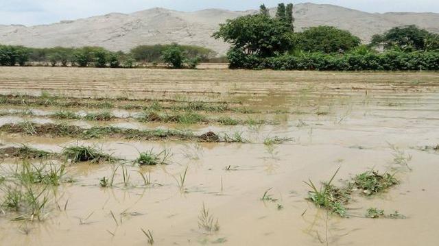 Áncash: inestabilidad política frena rehabilitación del agro - 2