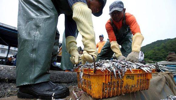 Suspenden actividades extractivas de anchoveta en el Sur