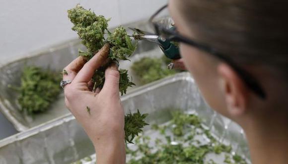 Aumentan casos de afectados por marihuana en Colorado