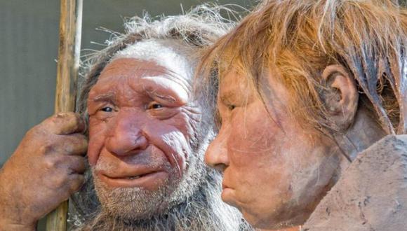Los nuevos hallazgos sobre los neandertales arrojan una luz diferente sobre la vida de nuestros primos lejanos.
(Foto: AP)