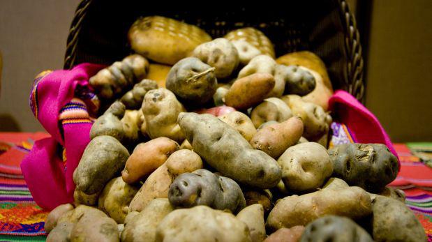 (Foto: Archivo El Comercio)