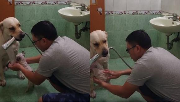 El hombre se apoyó en su mascota para bañar a otra. Las imágenes fueron publicadas en Facebook y no tardaron en hacerse virales. (Foto: captura de video)